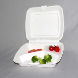 沃森 一次性降解餐盒9*8寸快餐沙拉打包盒新型环保一次性餐具