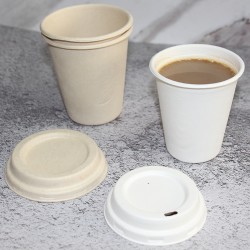 沃森8oz全降解纸杯咖啡茶饮一次性纸杯甘蔗浆餐具