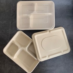沃森 900ml分格餐盒学校食堂一次性打包盒快餐饭盒