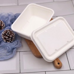 方形甘蔗纤维餐盒750ml一次性可降解餐盒新型环保餐具