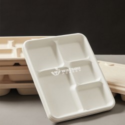 沃森 五格学生打饭环保餐盒可降解一次性餐盒甘蔗浆餐具