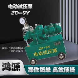 厂家2dsy型号电动打压泵  压力自控电动试压泵报价