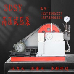 3D-SY200系列电动试压泵技术参数