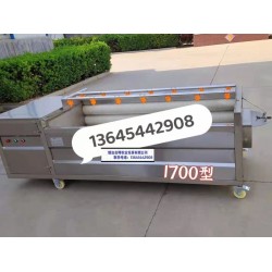 芥菜毛辊清洗机哪里有